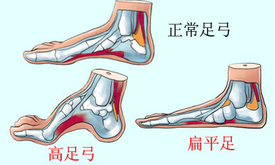 圖片關(guān)鍵詞